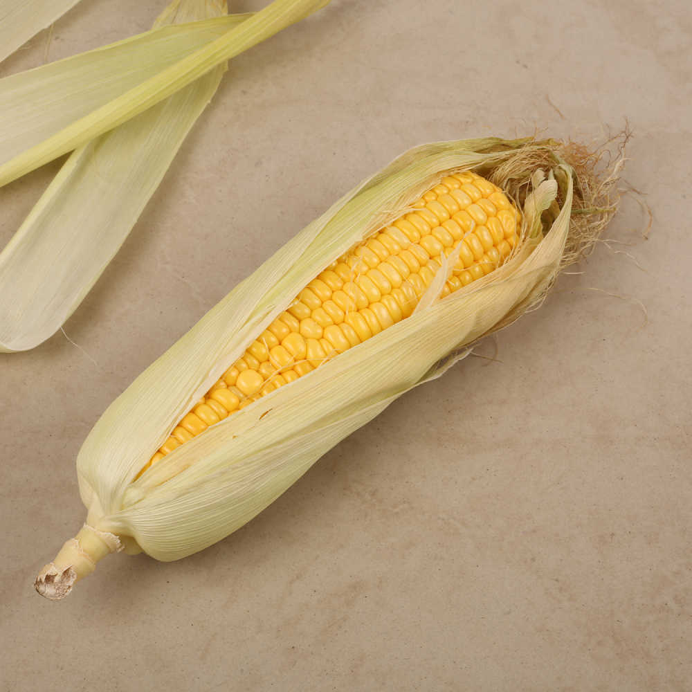 American Sweet Corn Cob (Bhutta)