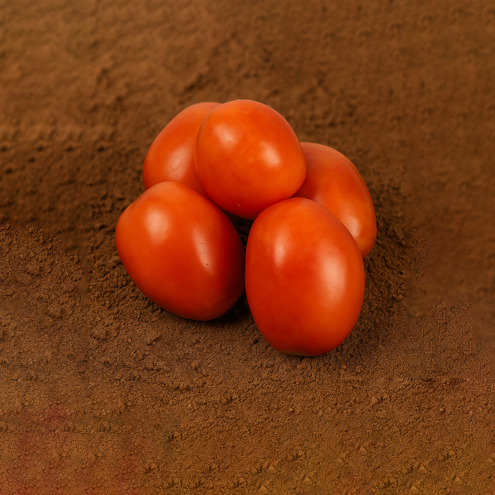 Organically Grown Tomato (Hybrid) (Tamatar)