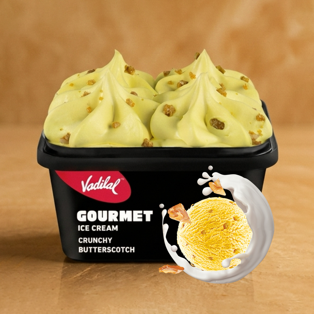 Gourmet Crunchy Butterscotch Ice Cream Tub